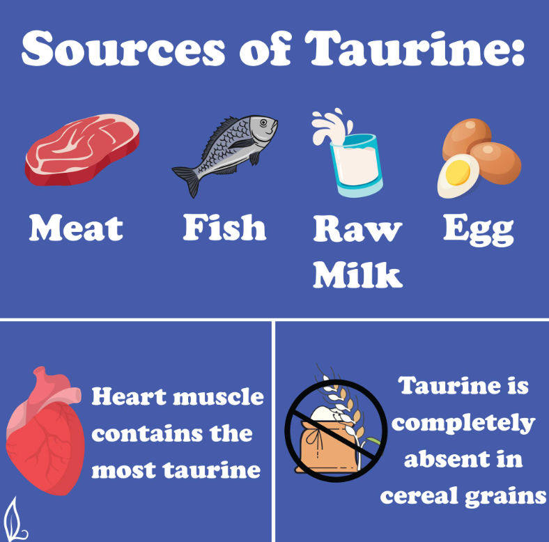 Talking about Taurine