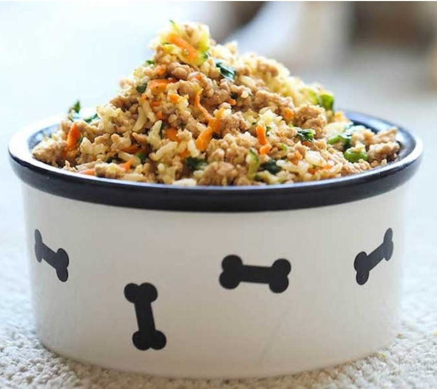 Understanding Holistic vs. Natural Pet Food: What's Best for Your Furry Friend