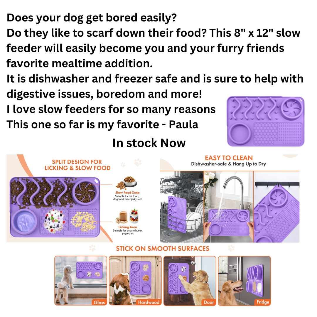 Is your dog bored?