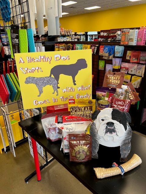 Understanding Your Pet's Nutritional Needs by Life Stage