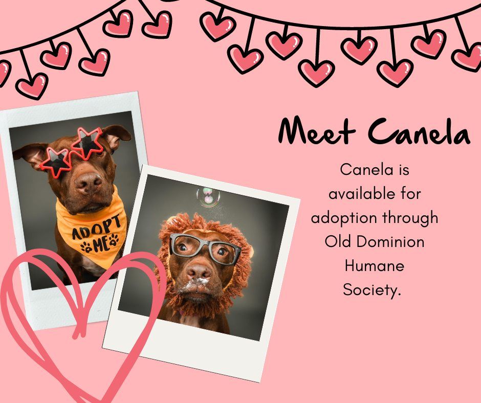 Meet Canela from ODHS