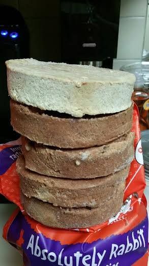 Why We No Longer Offer Stella & Chewy's Dog Food