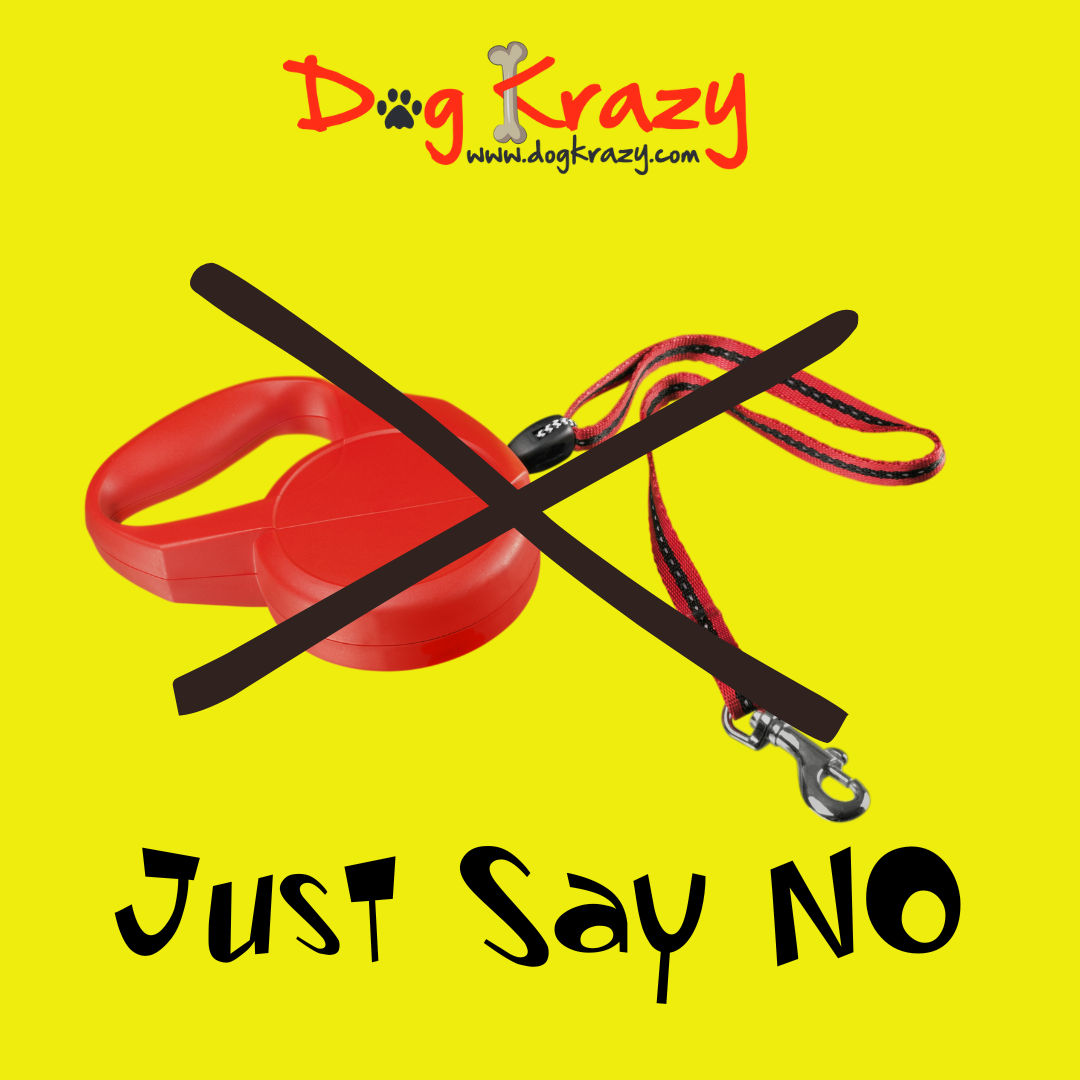 One leash that you will never find at Dog Krazy