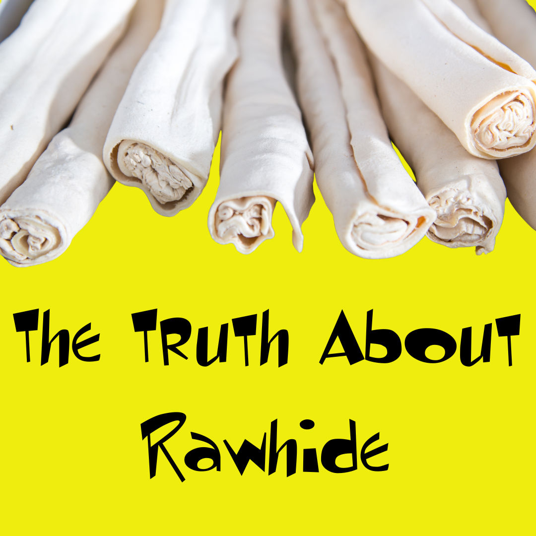 The Hidden Hazards of Rawhide: Why Dog Krazy Says NO