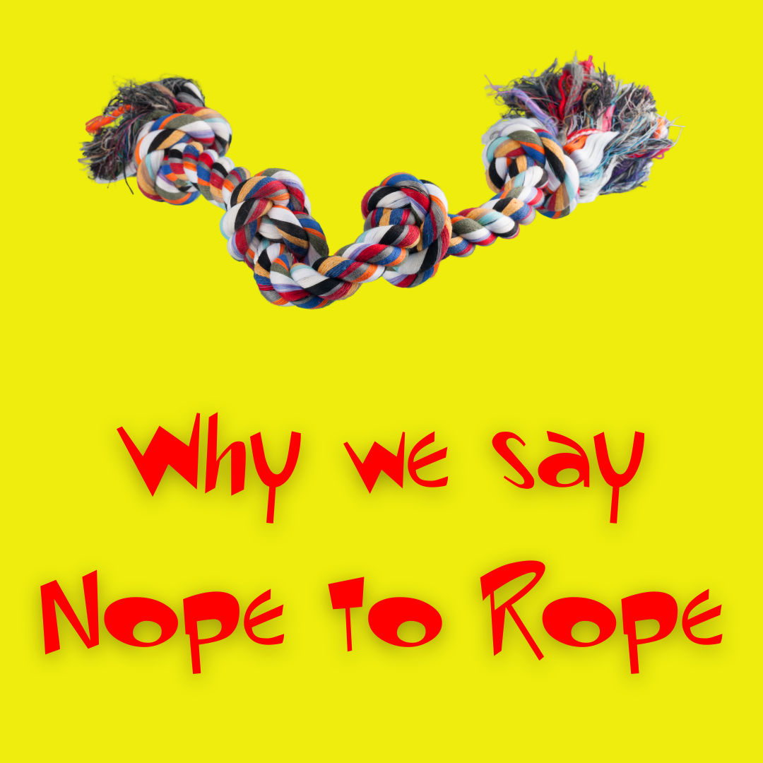 Why We Say No to Rope Toys at Dog Krazy