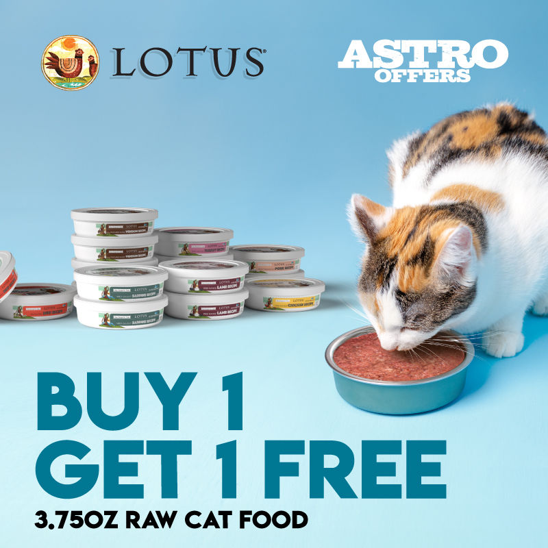 Lotus raw cat food 2025