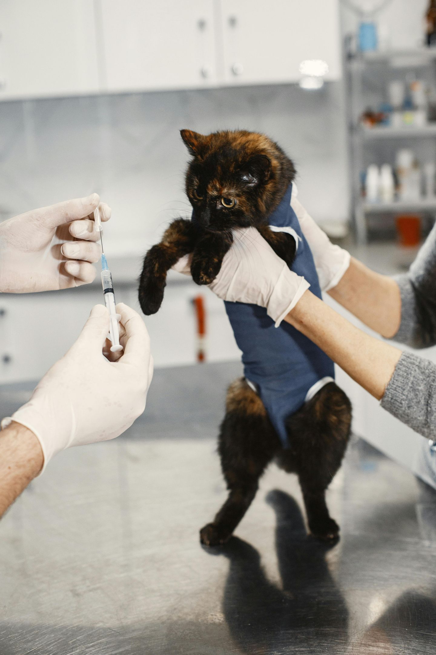 Pet Vaccinations!