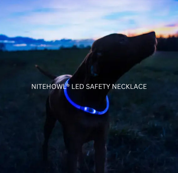Night time walks require safety solution for people and their pets. LED rechargeable necklaces.