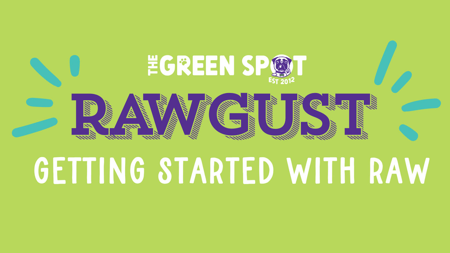 RAWGUST: Where to Start with Raw Food?