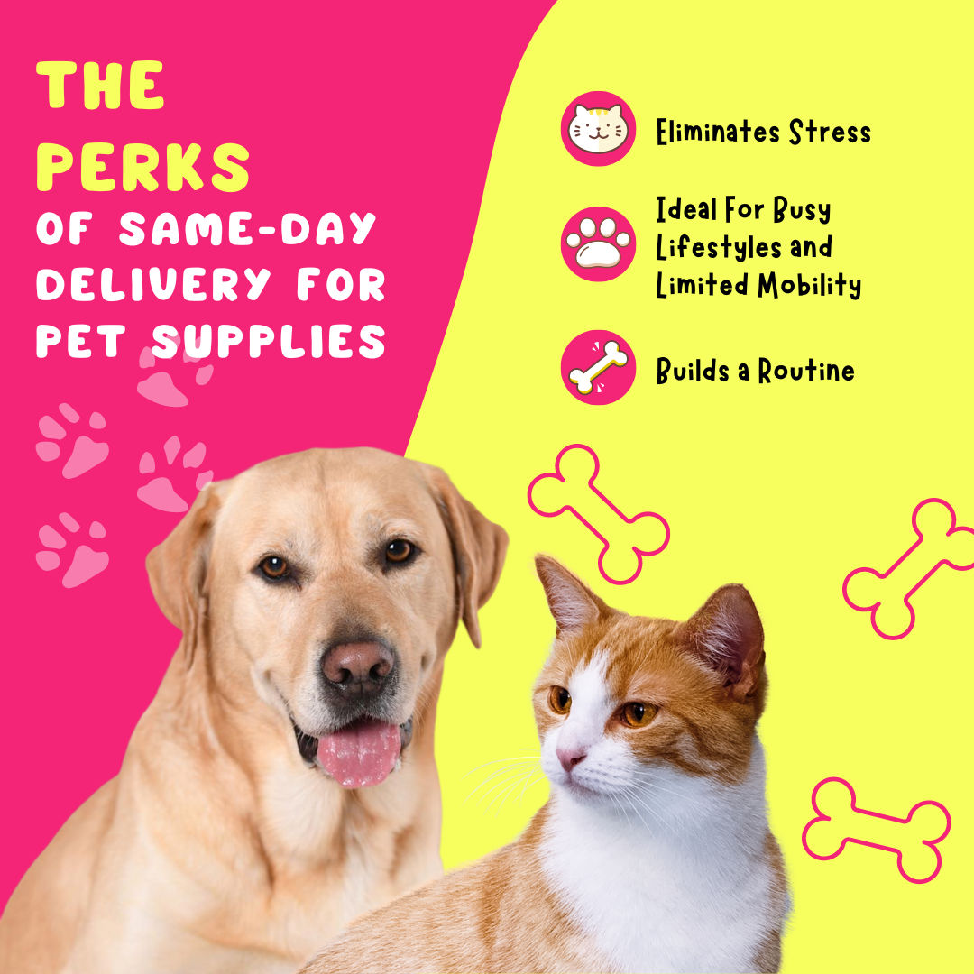The Perks Of Same-Day Delivery for Pet Supplies