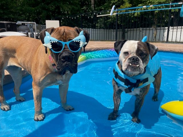 It's Getting Hot Out There!