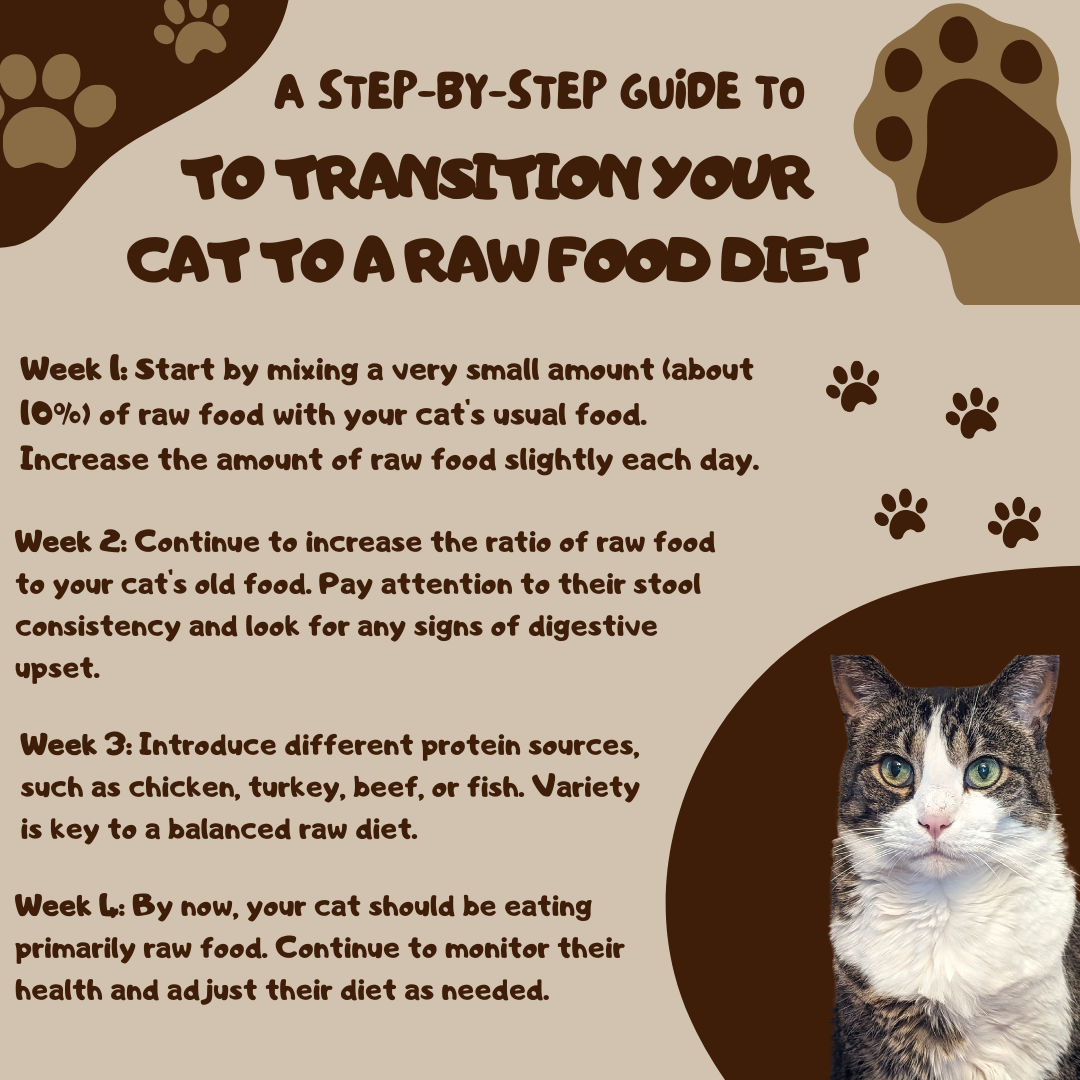 The Raw Diet Debate for Felines in 2026