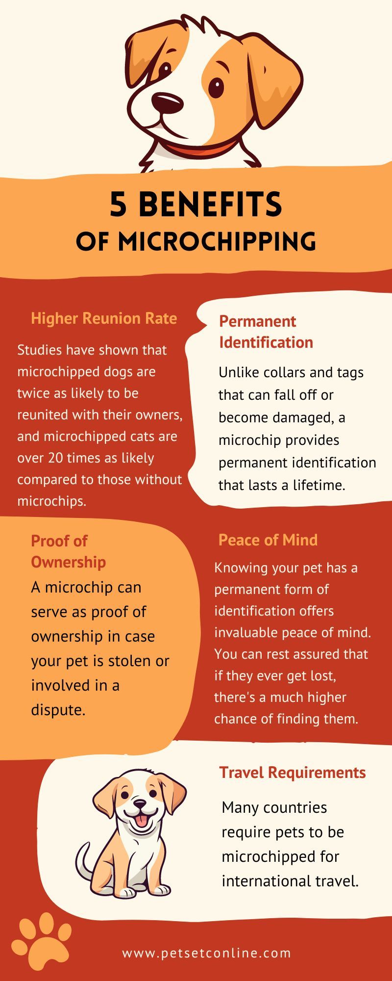 Pet Microchipping: A Lifesaving Tool for Lost Pets