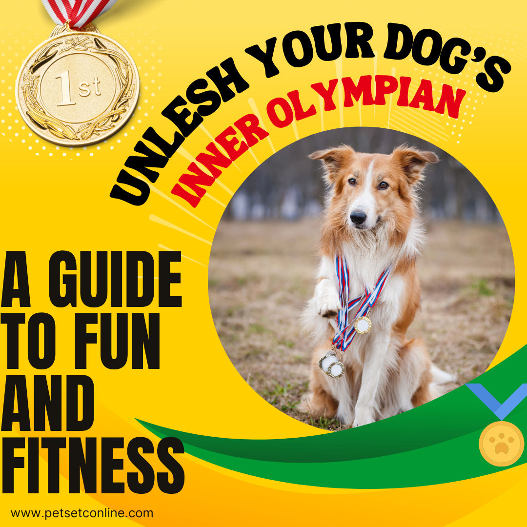 Unleash Your Dog's Inner Olympian: A Guide to Fun and Fitness