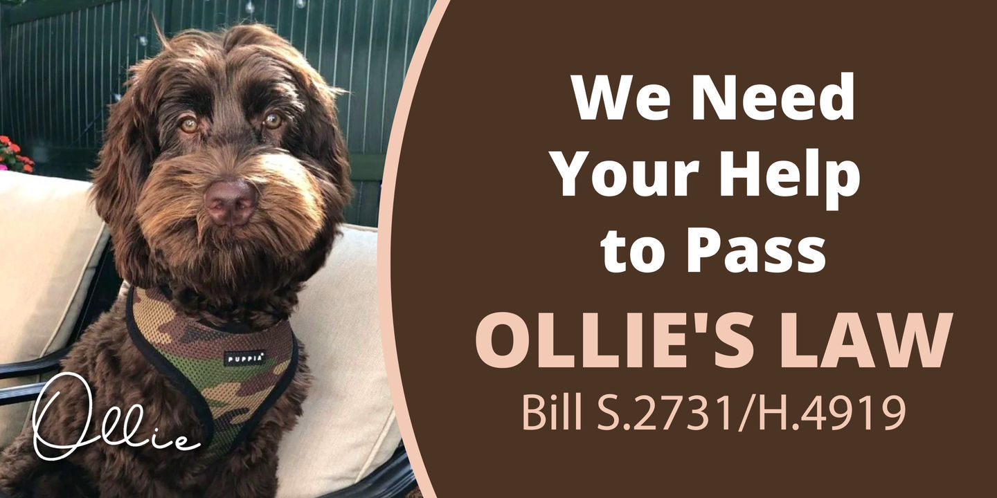 We Need Your Help to Pass Ollie's Law!