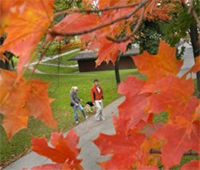 5 Benefits of Walking Your Dog in Radnor, PA