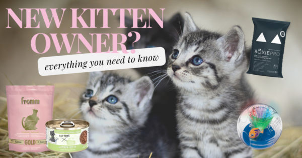 Celebrating National Kitten Day: Tips and Products for New Kitten Owners