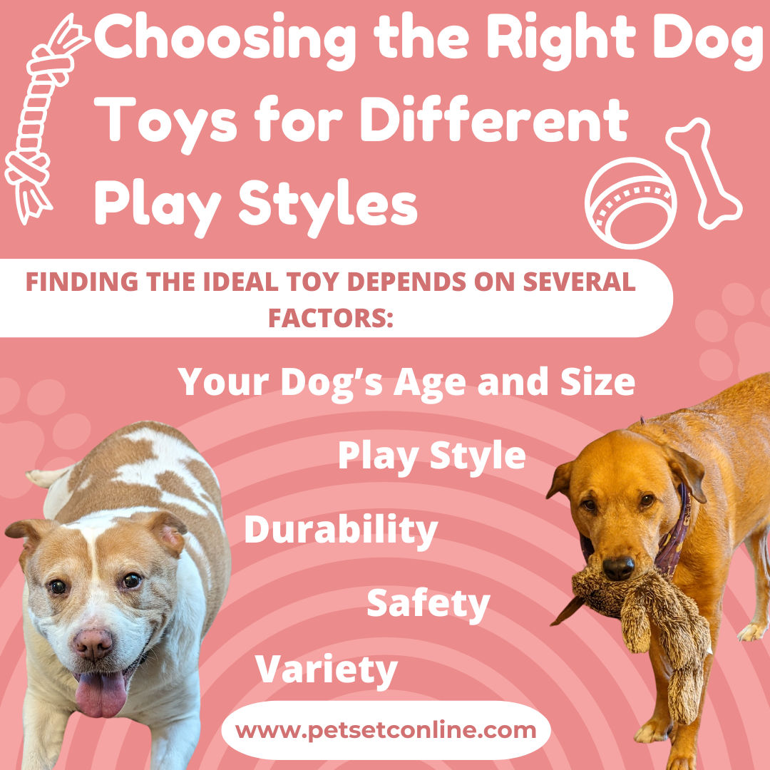 Choosing the Right Dog Toys for Different Play Styles