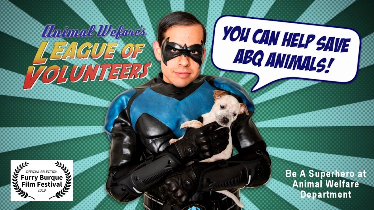 Be a Superhero at Animal Welfare Department