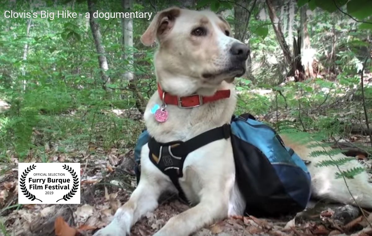 Clovis's Big Hike -- A Dogumentary