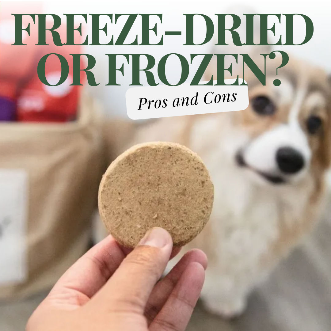 Freeze-Dried vs. Frozen Raw Pet Food