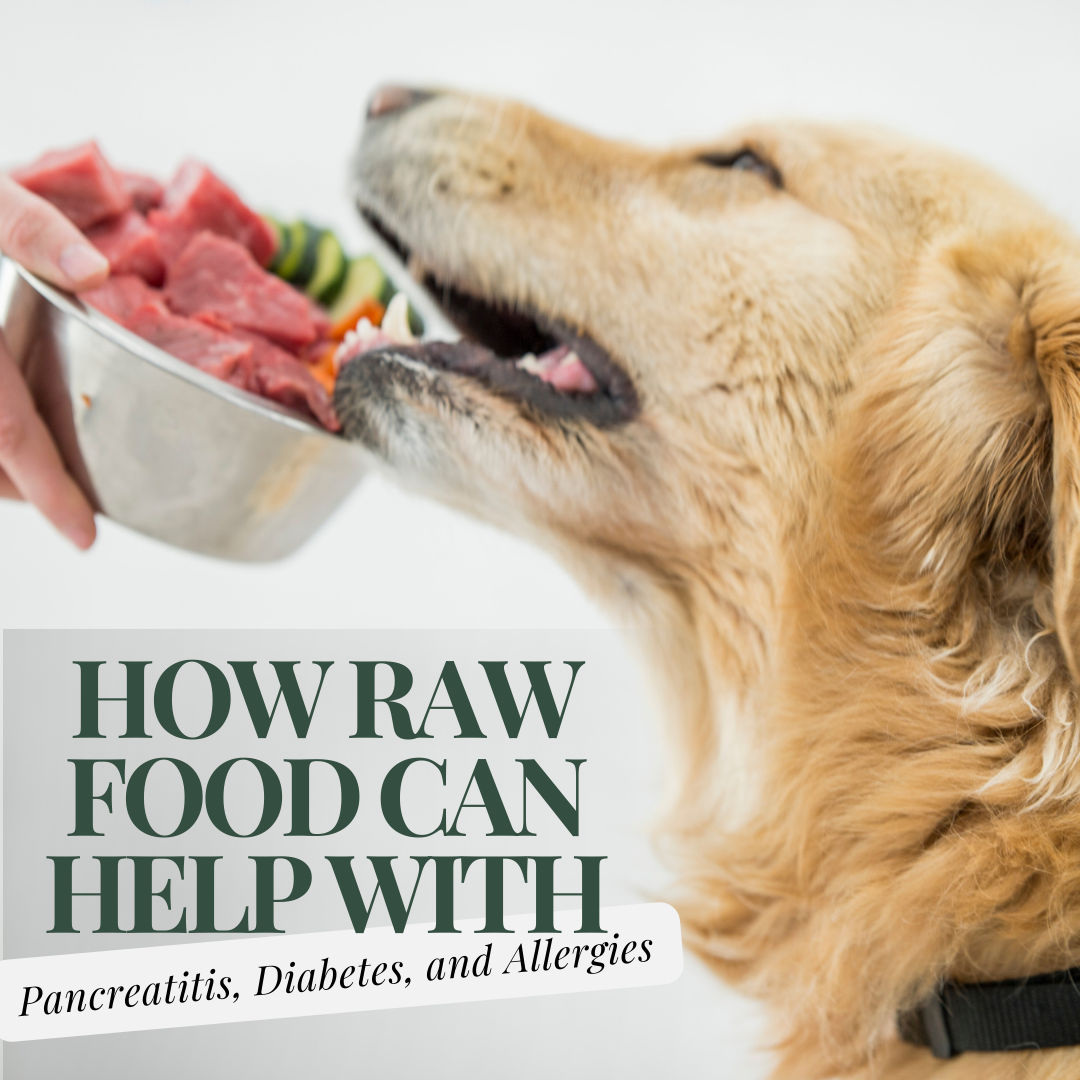Raw Food for Pets with Dietary Issues