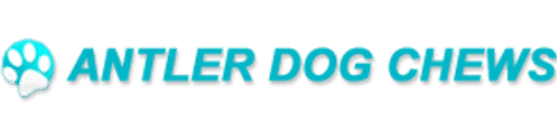 Antler Dog Chews Lakeland Florida