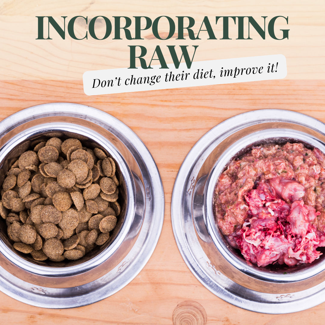 Incorporating Raw Food into Your Pet’s Diet