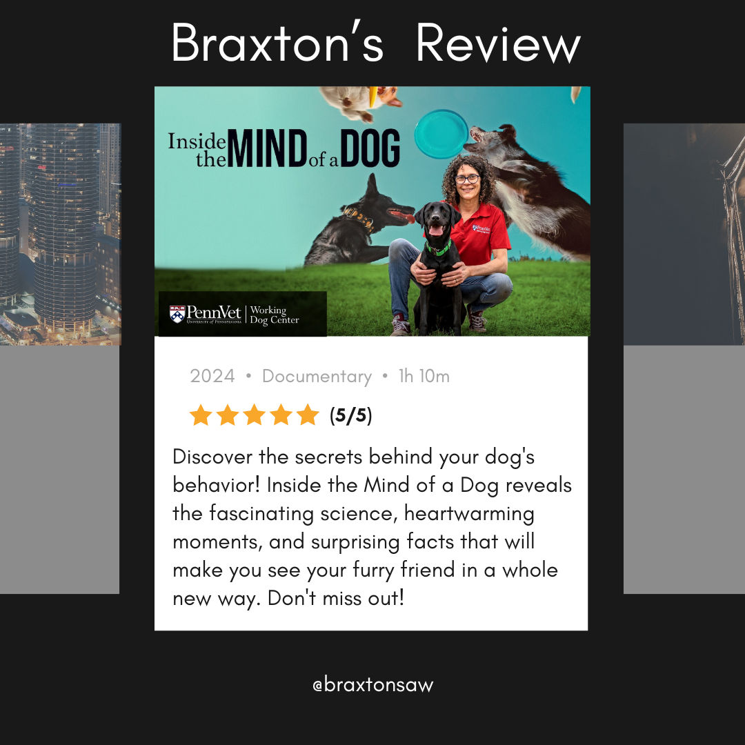 Inside the Mind of a Dog: A Must-Watch for Every Dog Lover