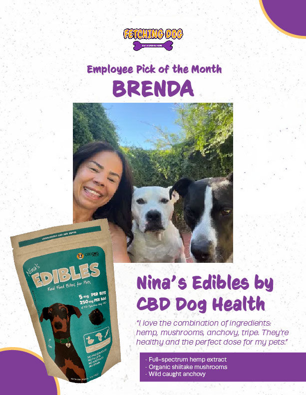 Brenda's Pick of the Month (September 2024)