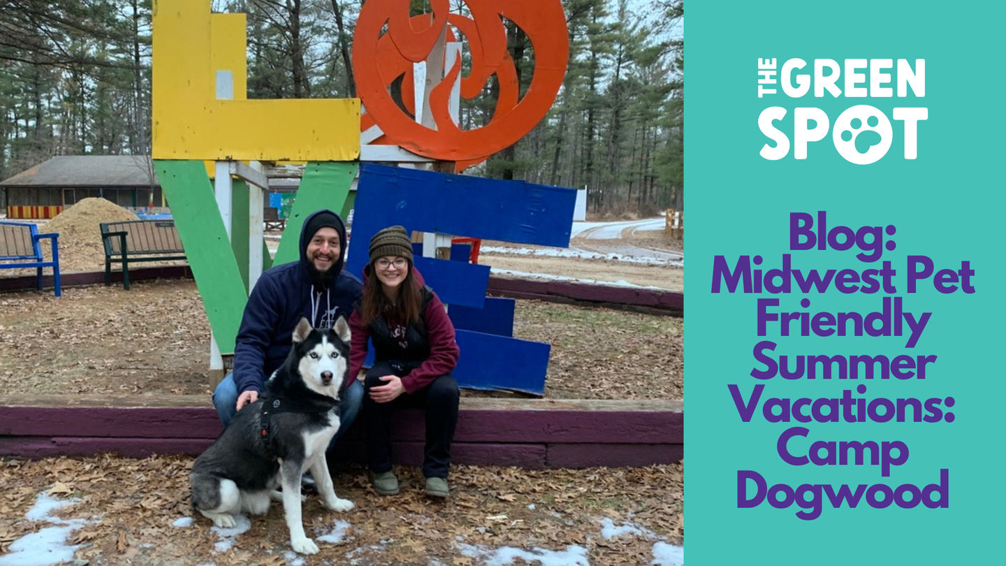 Midwest Pet-Friendly Summer Vacations: Camp Dogwood