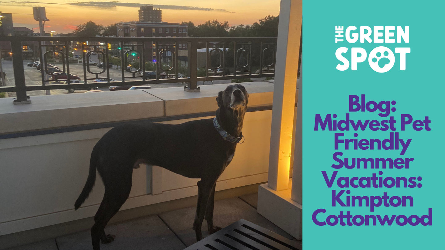 Midwest Pet-Friendly Summer Vacations: Kimpton Cottonwood Omaha, Nebraska