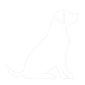 Dog Supplies