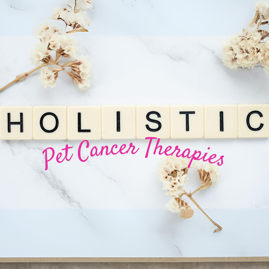 Holistic Cancer Therapies for Pets
