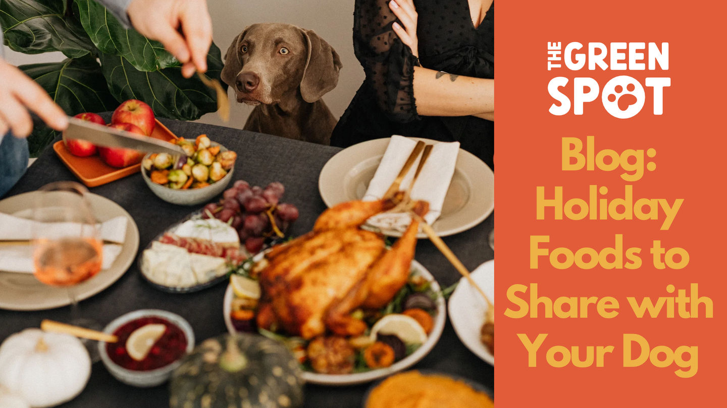Holiday Foods to Share with Your Dog