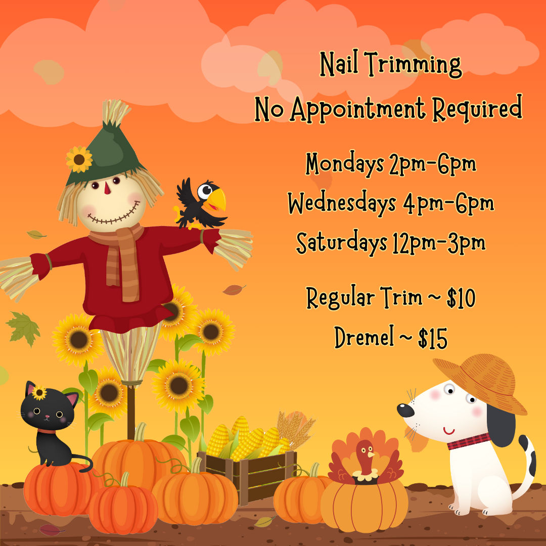 november-nail-trims-pet-supplies-n-more