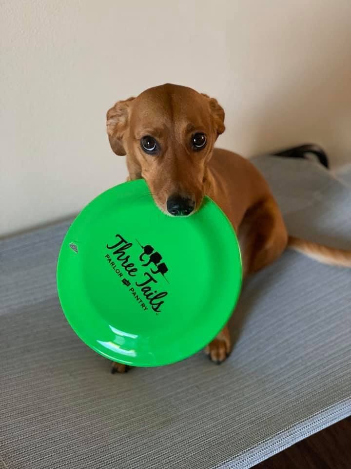 Local Delivery Service