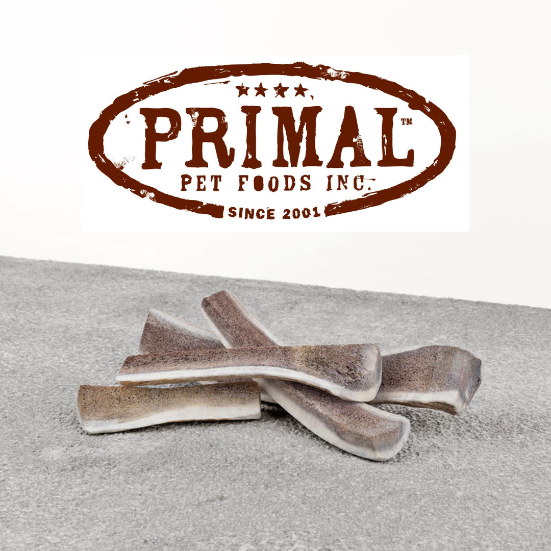 CB Pet Market Pet Food Supply Store Washington NJ Shop Now