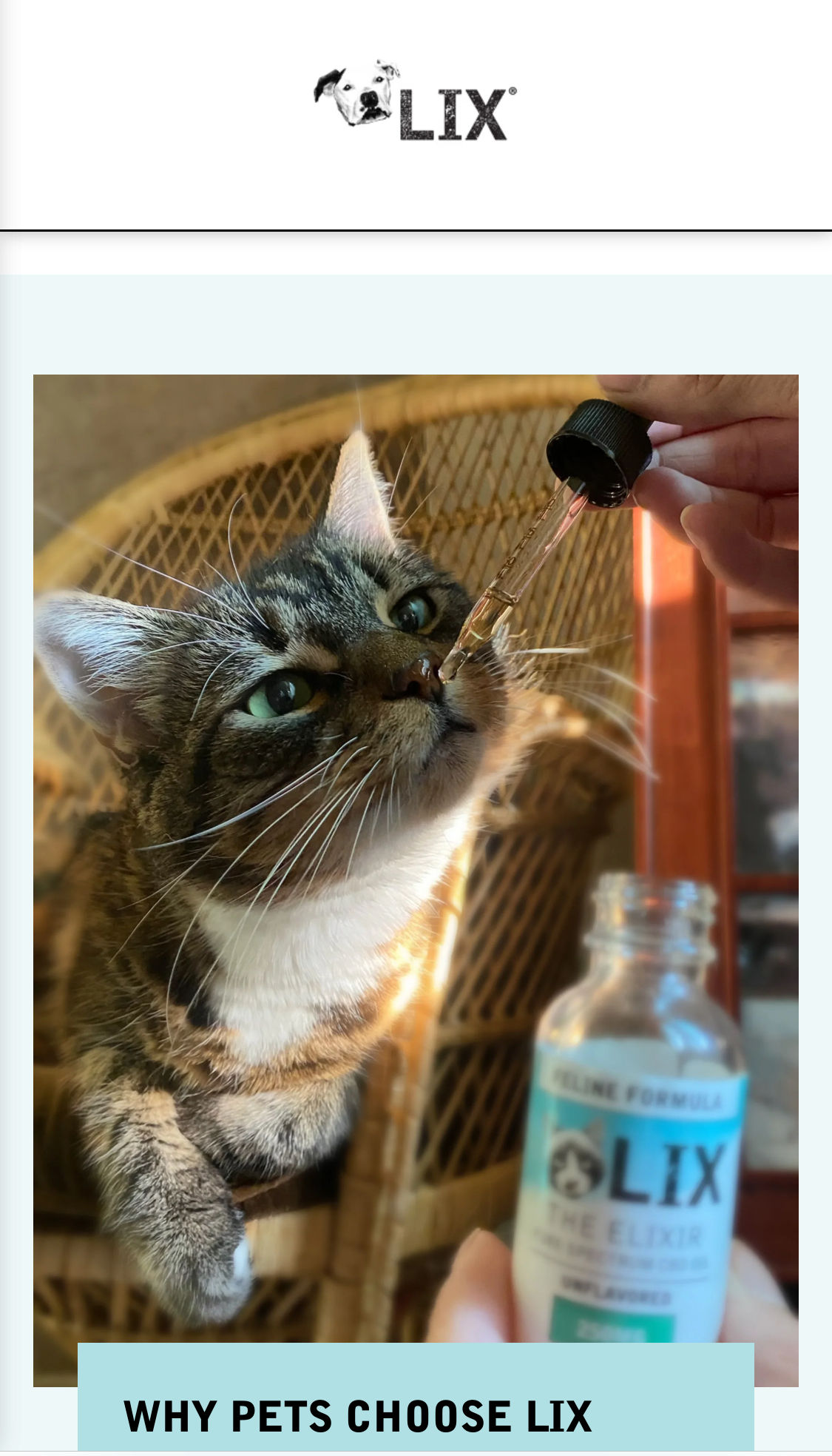 LIX CBD for Pets: A Natural Path to Wellness for Dogs and Cats