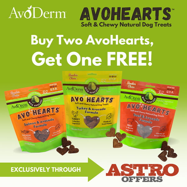 Salmon Chewy Avoderm Avoderm Cat Cheap