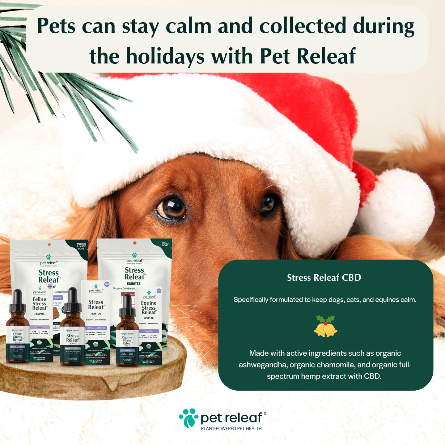Image of blog post Health Benefits of CBD for Pets