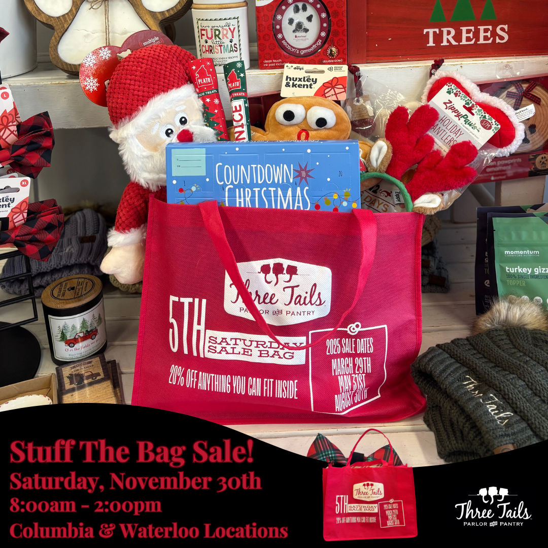 Why Small Business Saturday is Worth Celebrating: Shop Local and Support Your Community