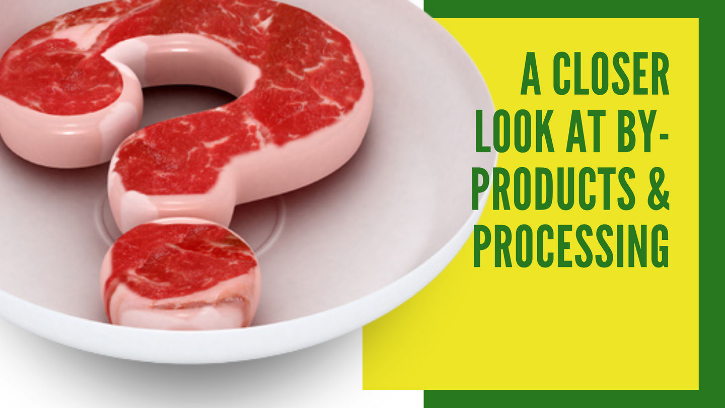 A Closer Look at By-Products and Processing
