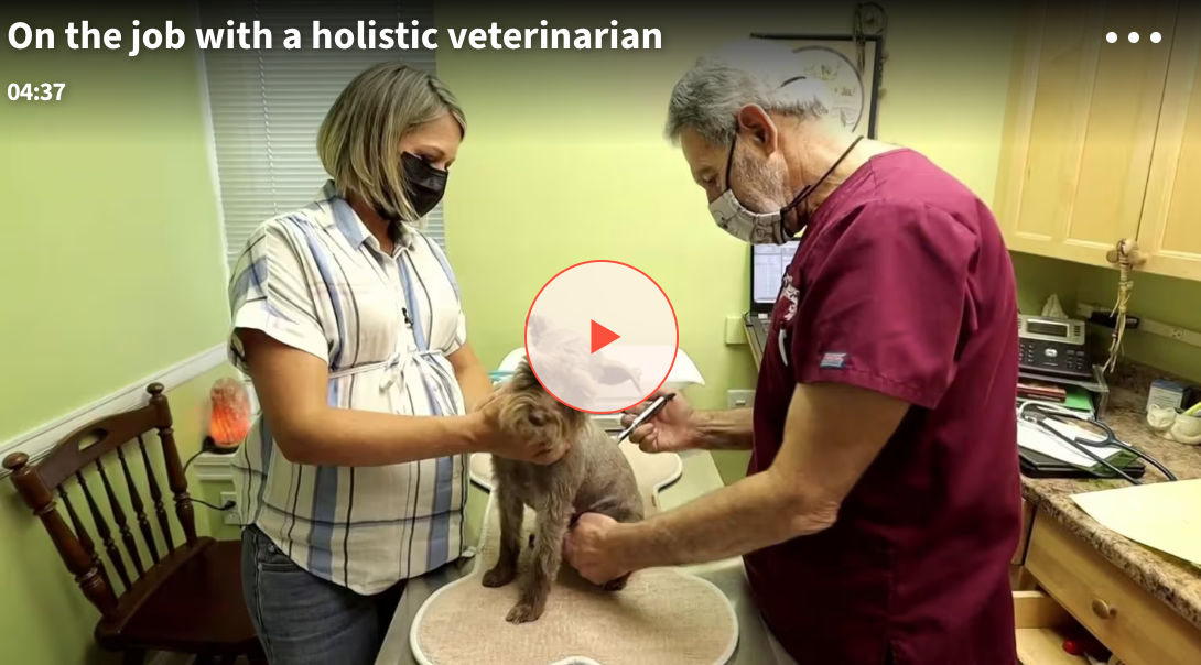 Image of blog post NBC On the Job Segment with Dr. B