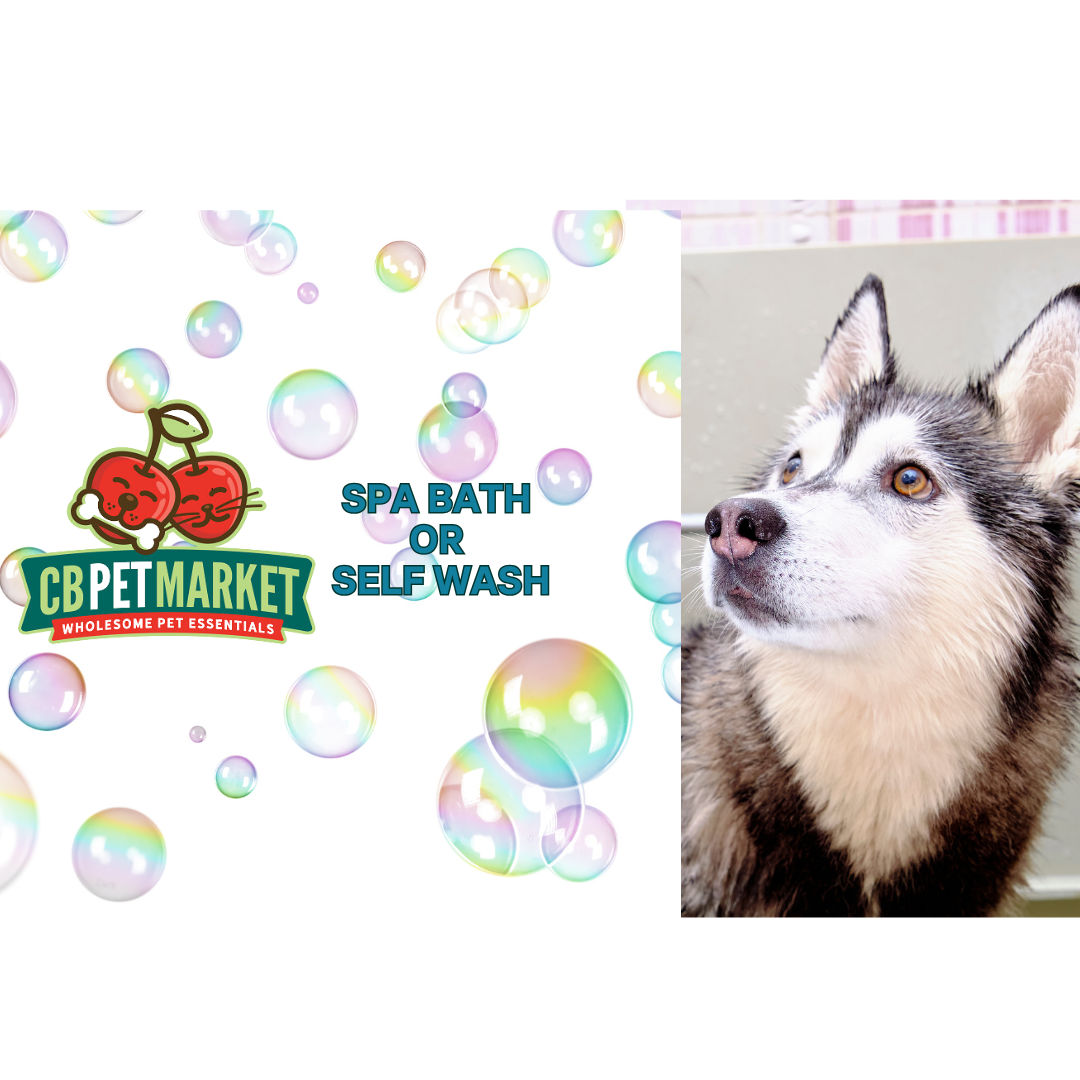 Spa Bath or Self Wash
