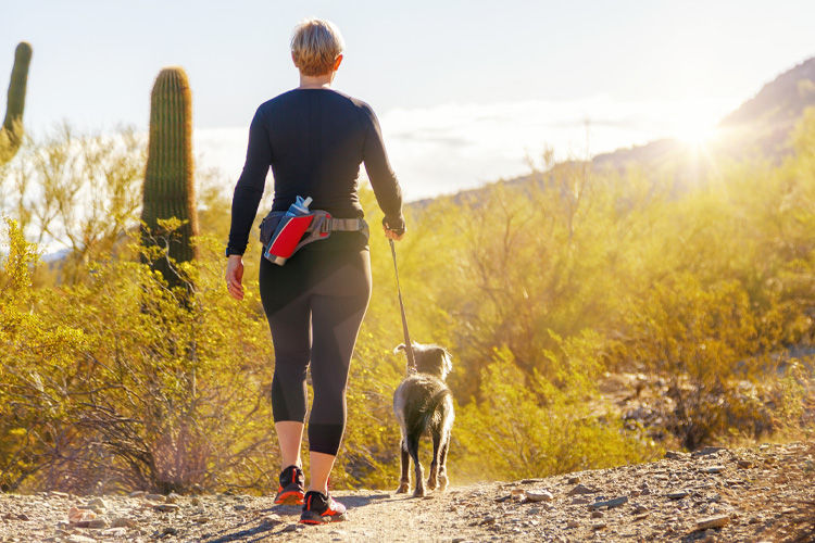 Image of blog post Prepping Your Pet for Fall in Arizona
