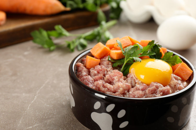 Image of blog post Raw Food Safety Handling and Storing Tips for Pet Owners