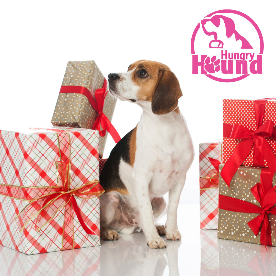 Image of blog post New Year, New Tricks: Setting Goals with Your Dog