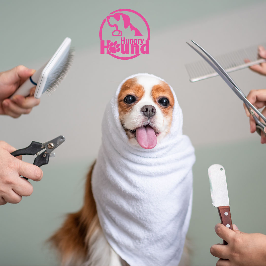 Image of blog post Winter Grooming Tips: Keeping Your Dog’s Coat and Skin Healthy All Season Long
