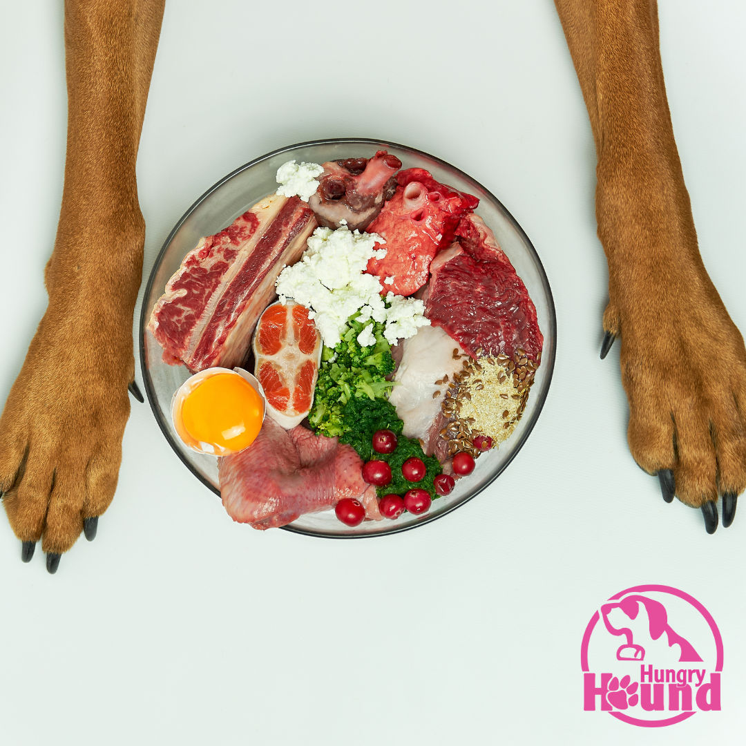 Image of blog post Winter Diet Adjustments: Does Your Dog Need Extra Calories in Cold Weather?